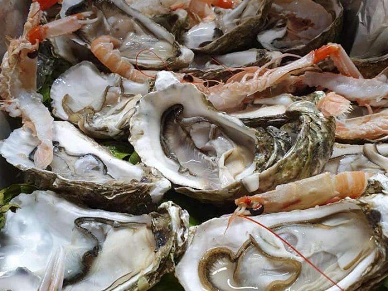Oyster and Raw Fishes